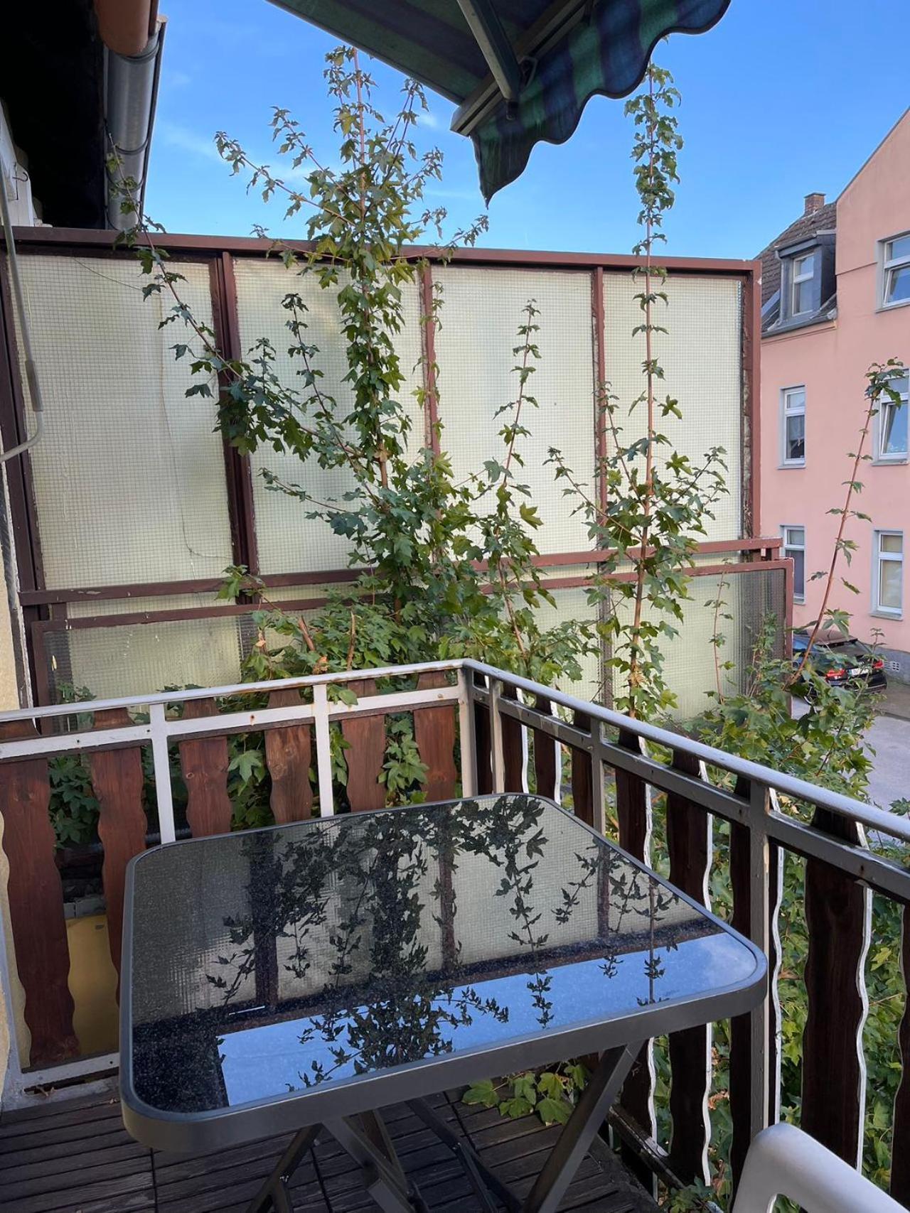 Duesseldorf Messe And Airport, 2-Bedroom Apartment With Kitchen And Garden Duisburg Exterior photo